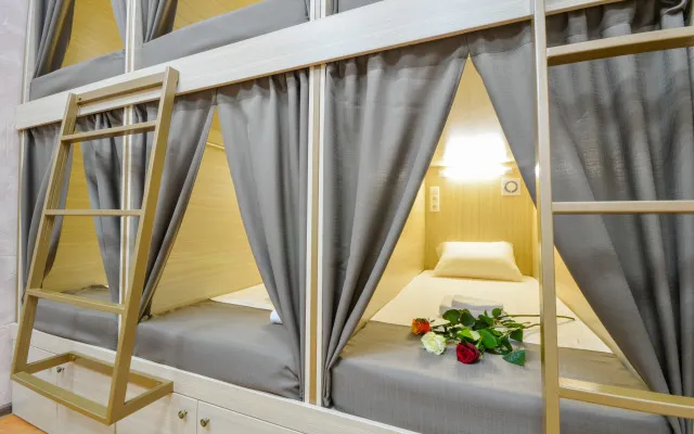 Документы для питомца: что собрать для найма жилья